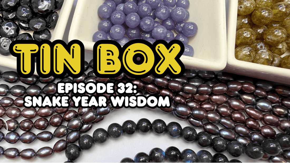 Tin Box Episode 32: Snake Year Wisdom – Shedding What No Longer Serves You