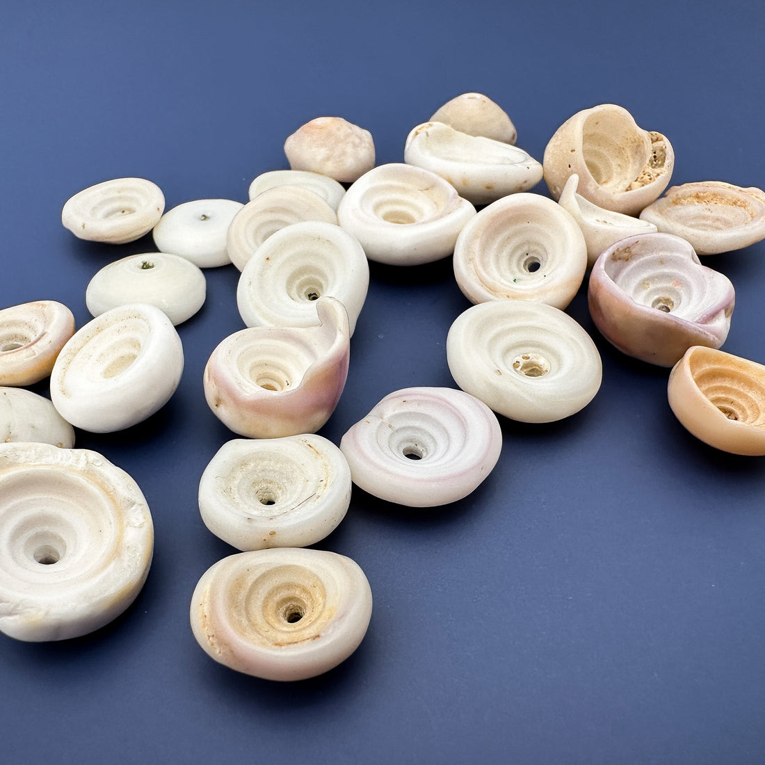 Puka Shells - How Are They Made?!