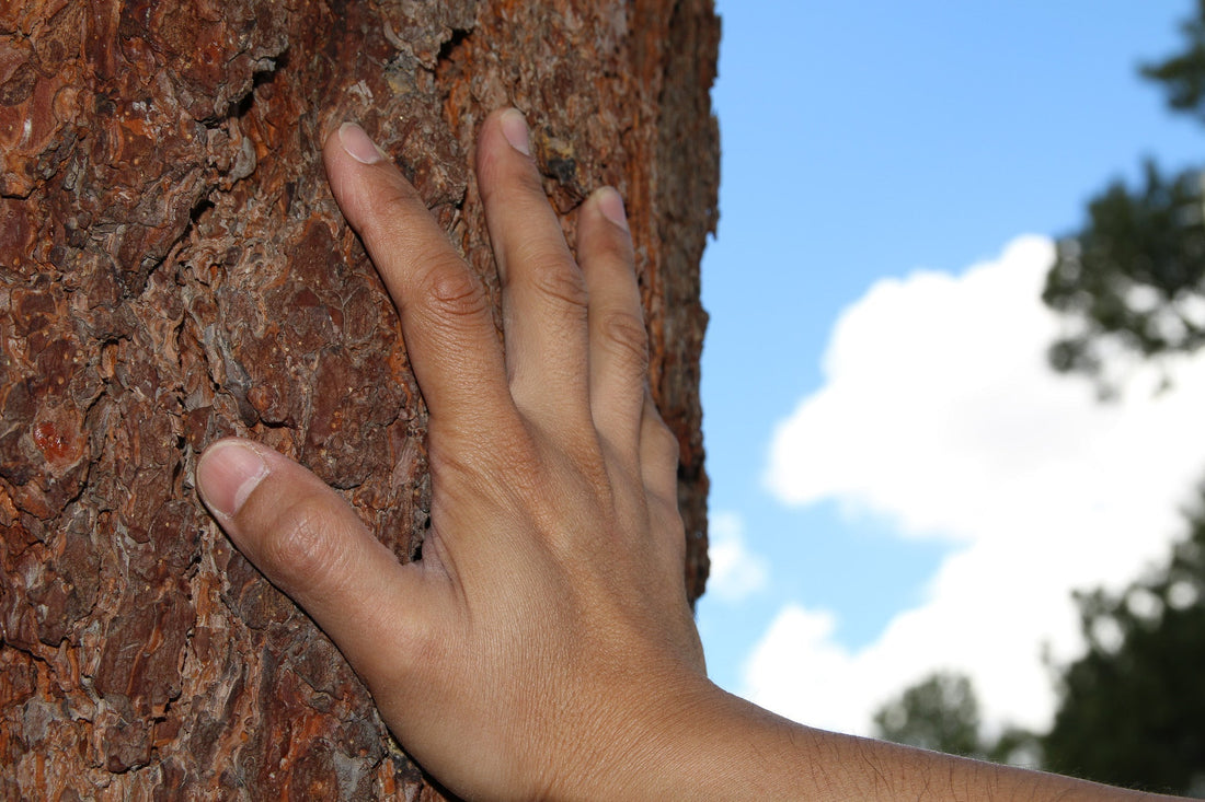 The Bead Gallery, Honolulu Blog-Discover Our Love for Wood Beads: A Quick Reference-The Bead Gallery Honolulu | Maelify
