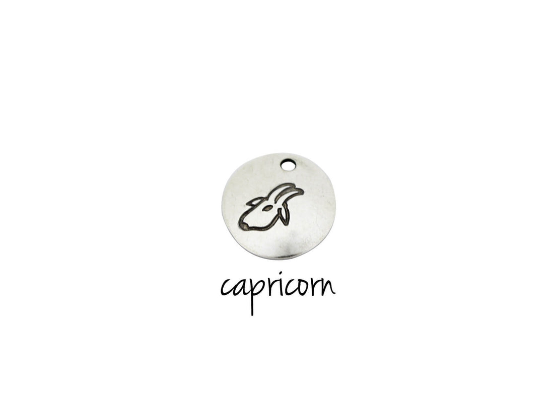 capricorn zodiac charm