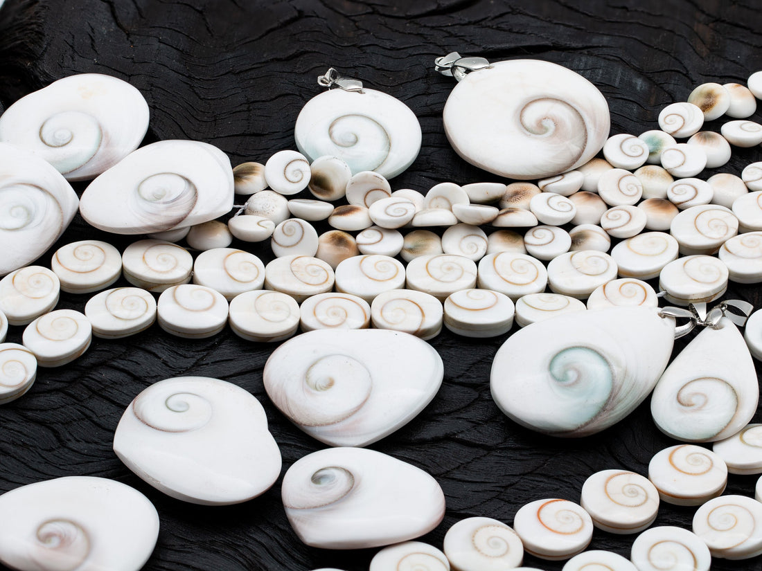The Bead Gallery, Honolulu Blog-Shiva Eye Shells: From Childhood Wonder to Spiritual Symbol-The Bead Gallery Honolulu | Maelify