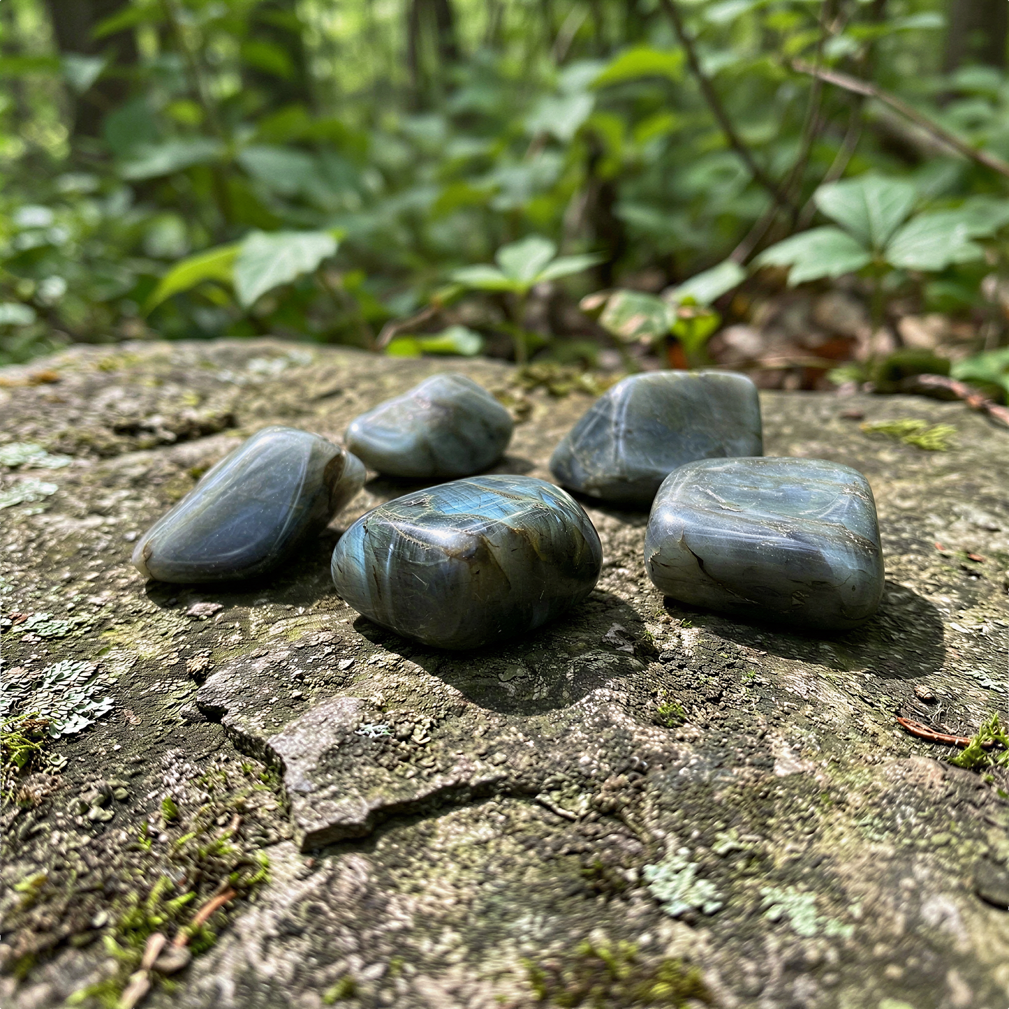 Large labradorite tumbled stone with peacock blue flash resting on mossy forest floor in soft natural light