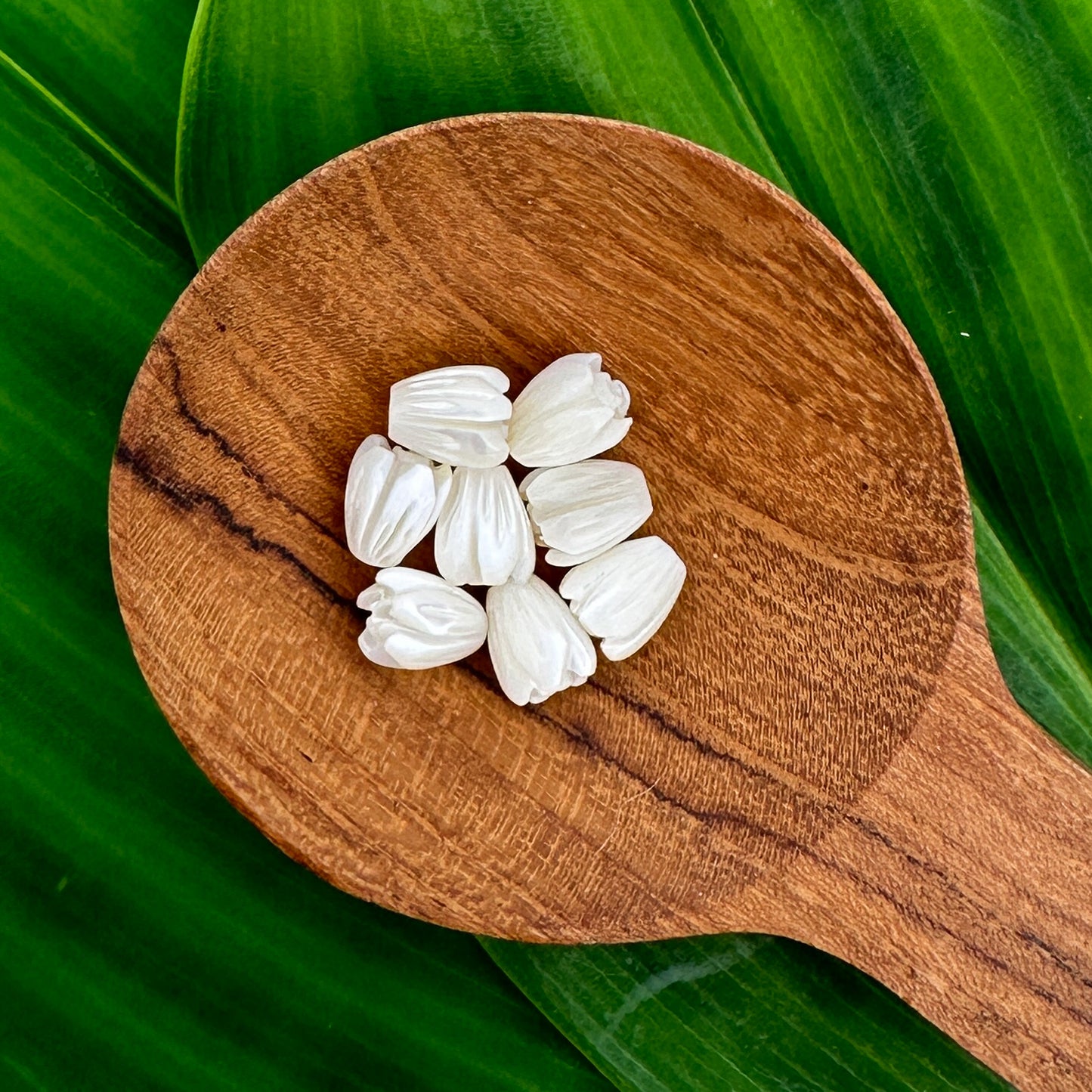 Mother of Pearl Pikake (Jasmine) Flower Bead - 7mm|10mm|12mm (1 pc./P3298)