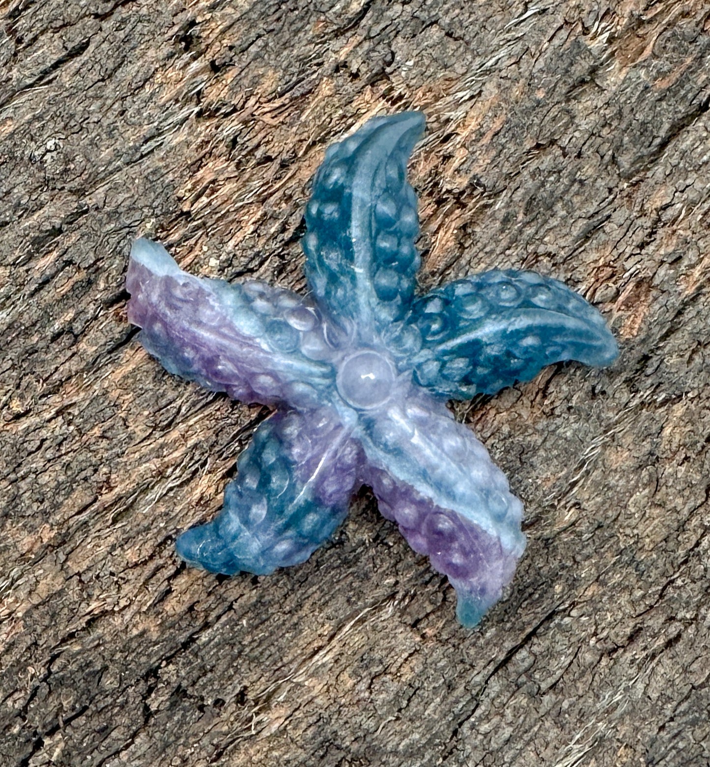 Multicolor Fluorite Carved Starfish Specimen - 1 pc.-The Bead Gallery Honolulu