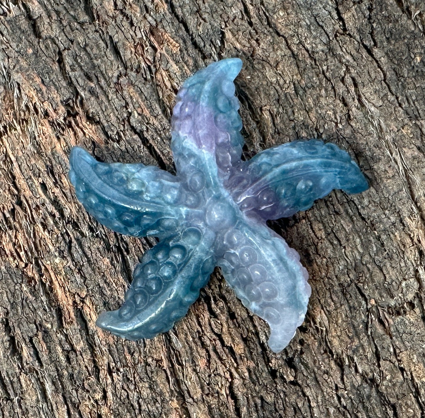 Multicolor Fluorite Carved Starfish Specimen - 1 pc.-The Bead Gallery Honolulu