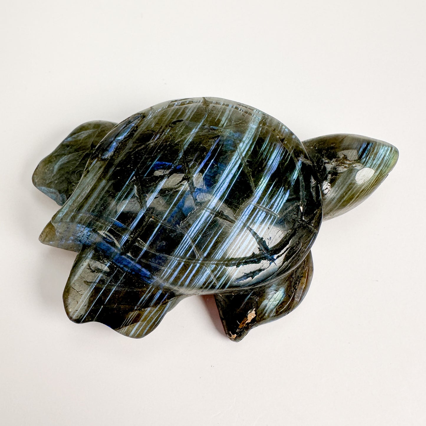 Labradorite Carved Turtle Specimen - 1 pc.-The Bead Gallery Honolulu