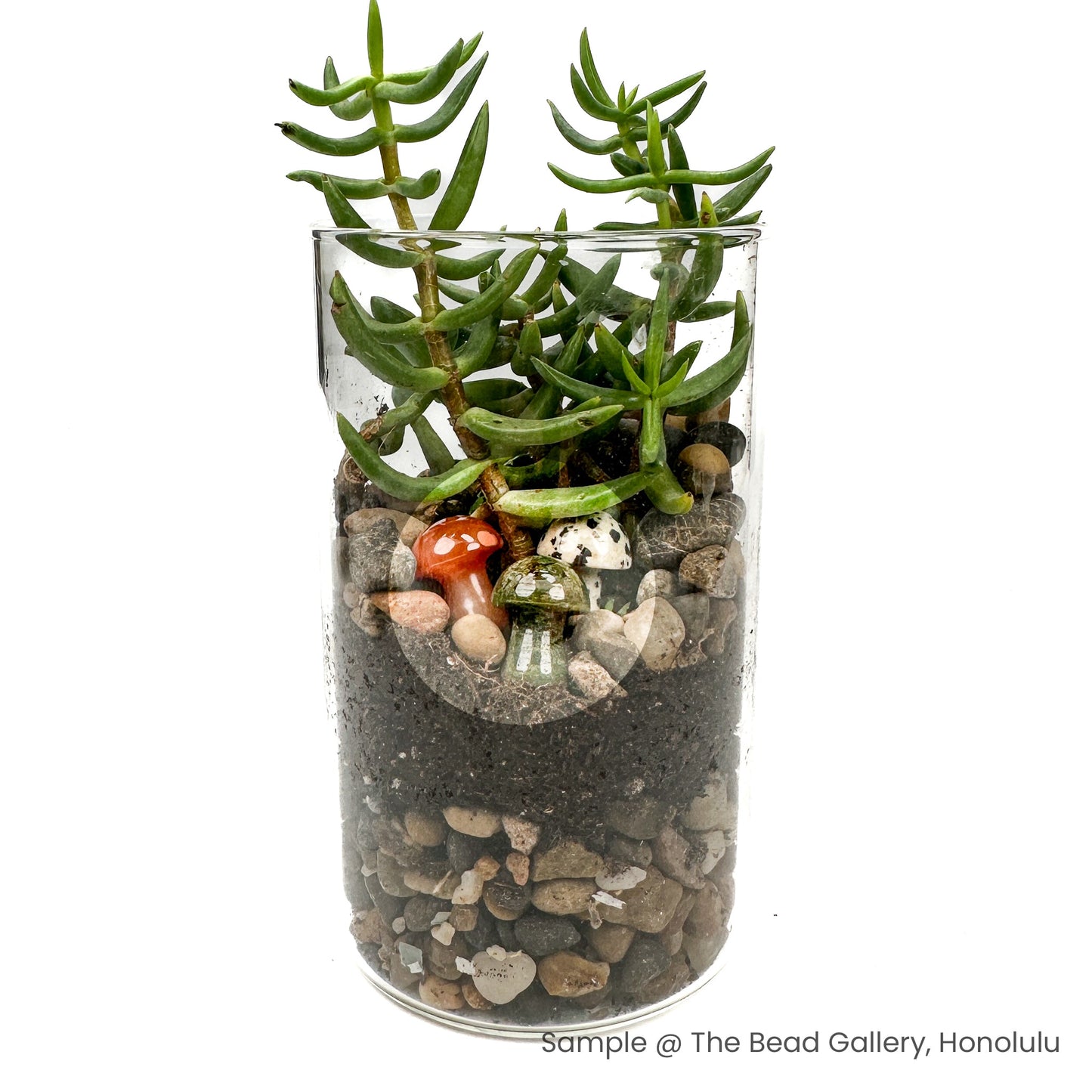 Assorted Gemstone Mushroom Mix - 3 pcs. (MIX021)-The Bead Gallery Honolulu