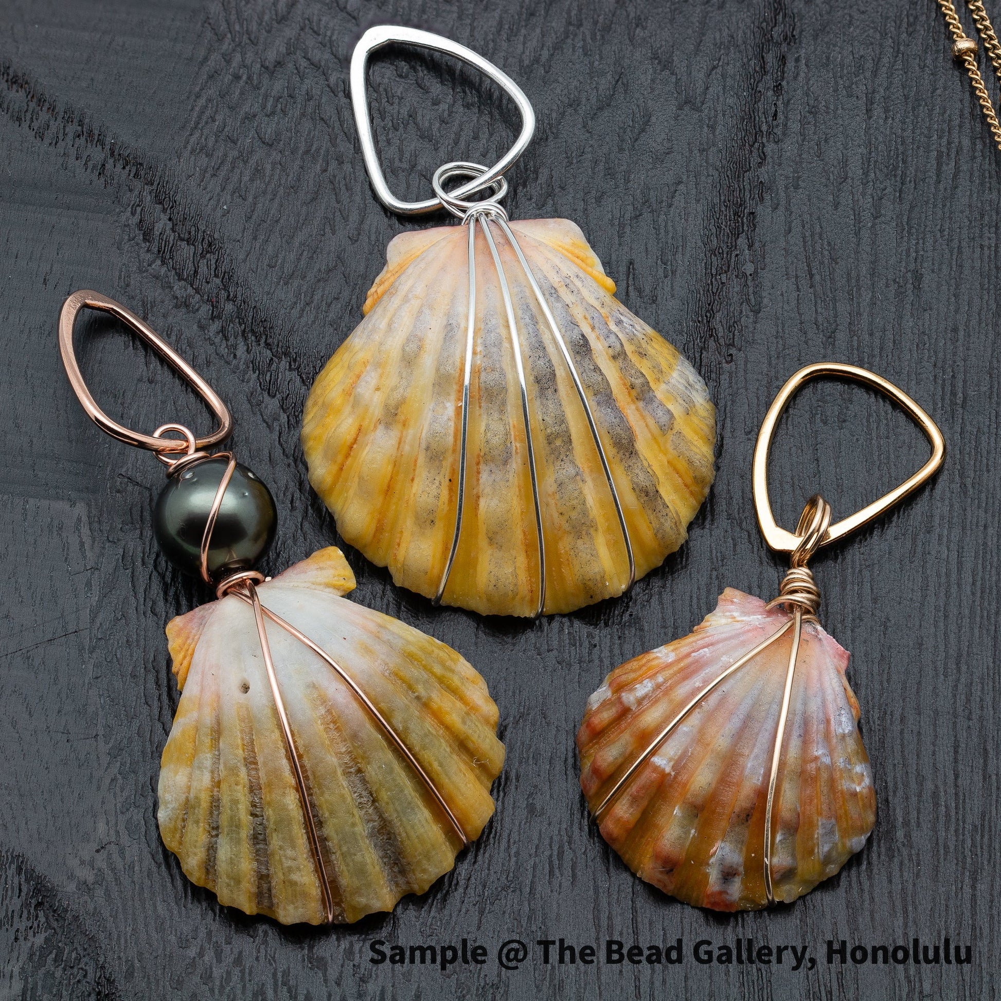 Basic Light Yellow Hawaiian Sunrise Shell - 1 pc.