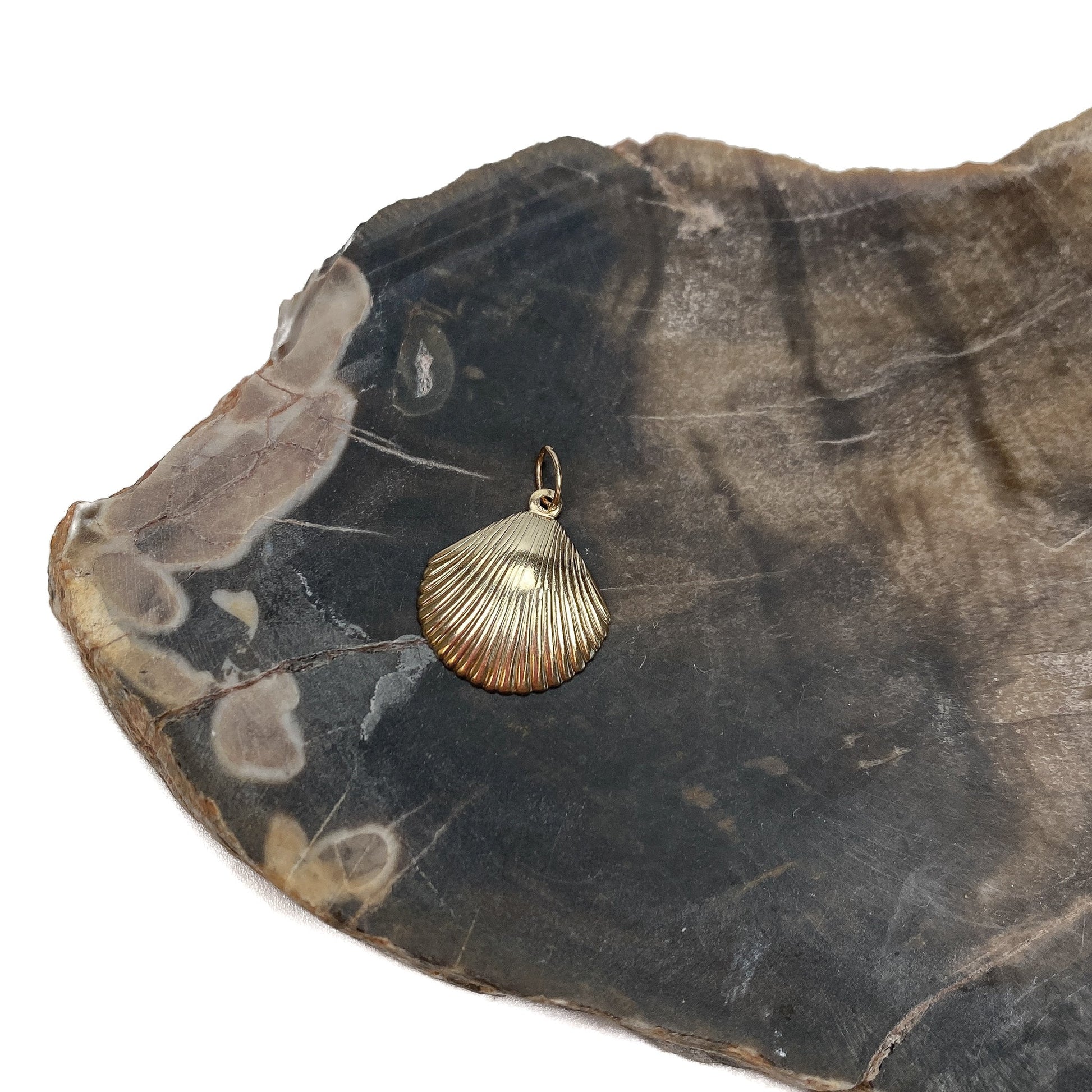 Large Scallop Charm (2 Metal Options Available) - 1 pc.