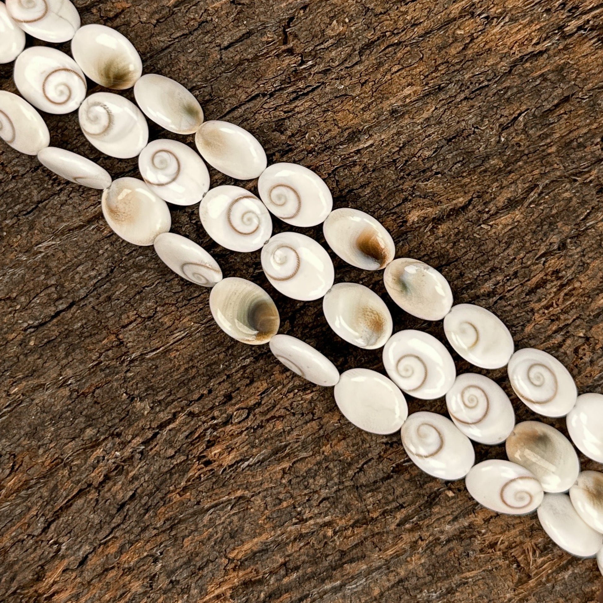 Shiva Eye Shell 12x14mm Oval Coin Bead - 7.75" Strand-The Bead Gallery Honolulu