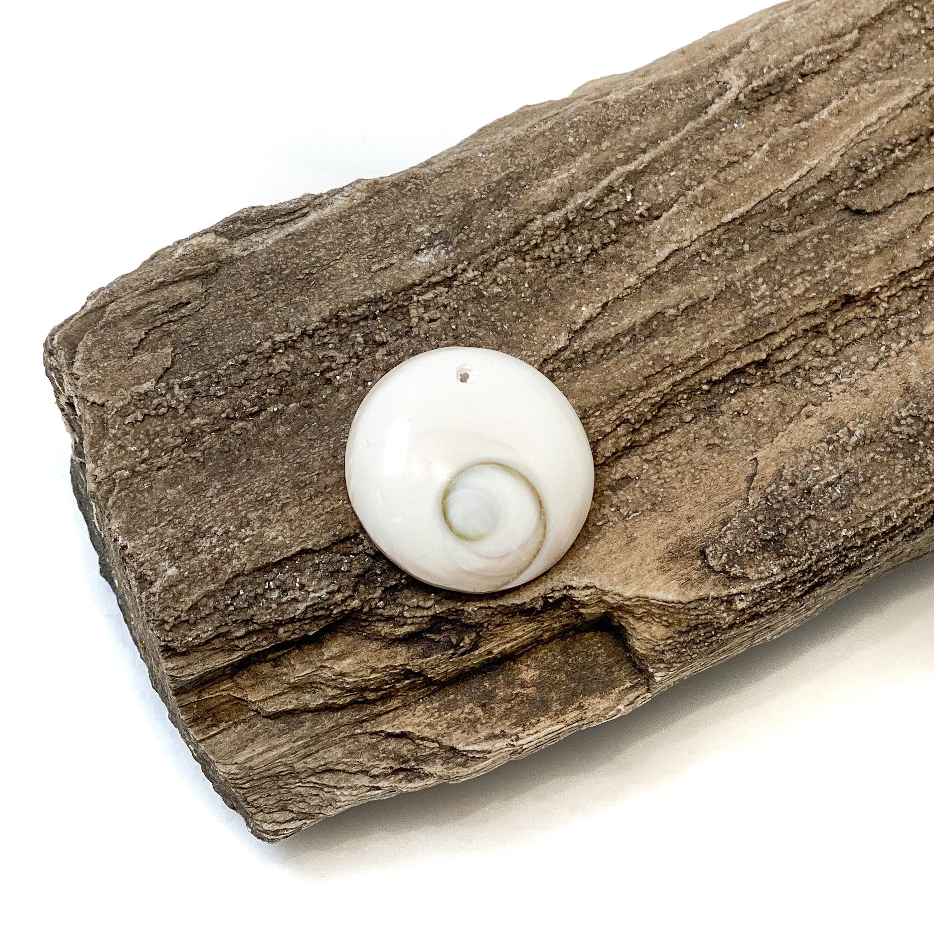 Shiva Eye Shell Pendant - Smooth Flat Round