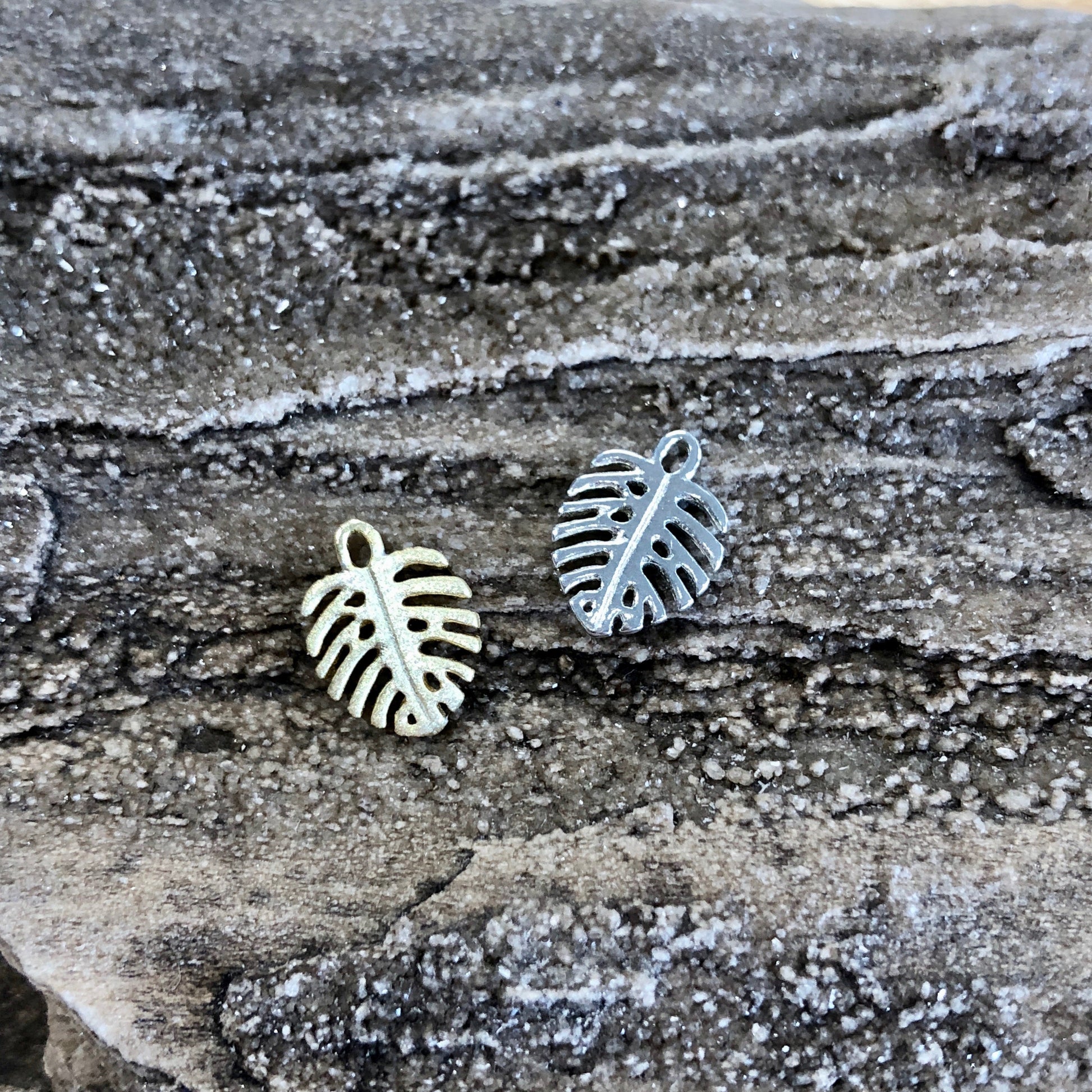 Teeny Monstera Leaf Charm (3 Metal Options Available) - 1 pc.