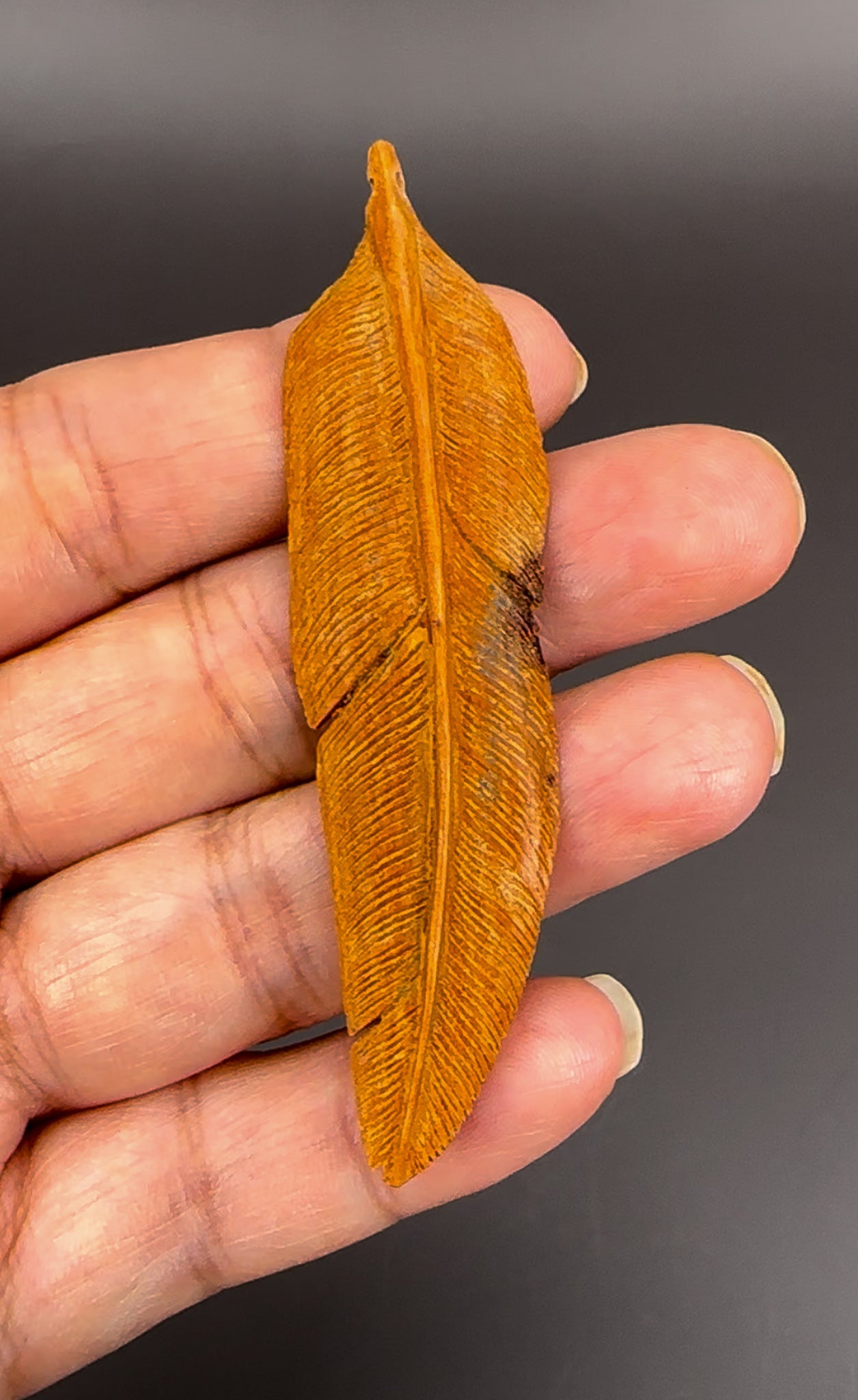 Wing and Feather Pendants - Handcarved & Handpainted Wood from Bali (J267)