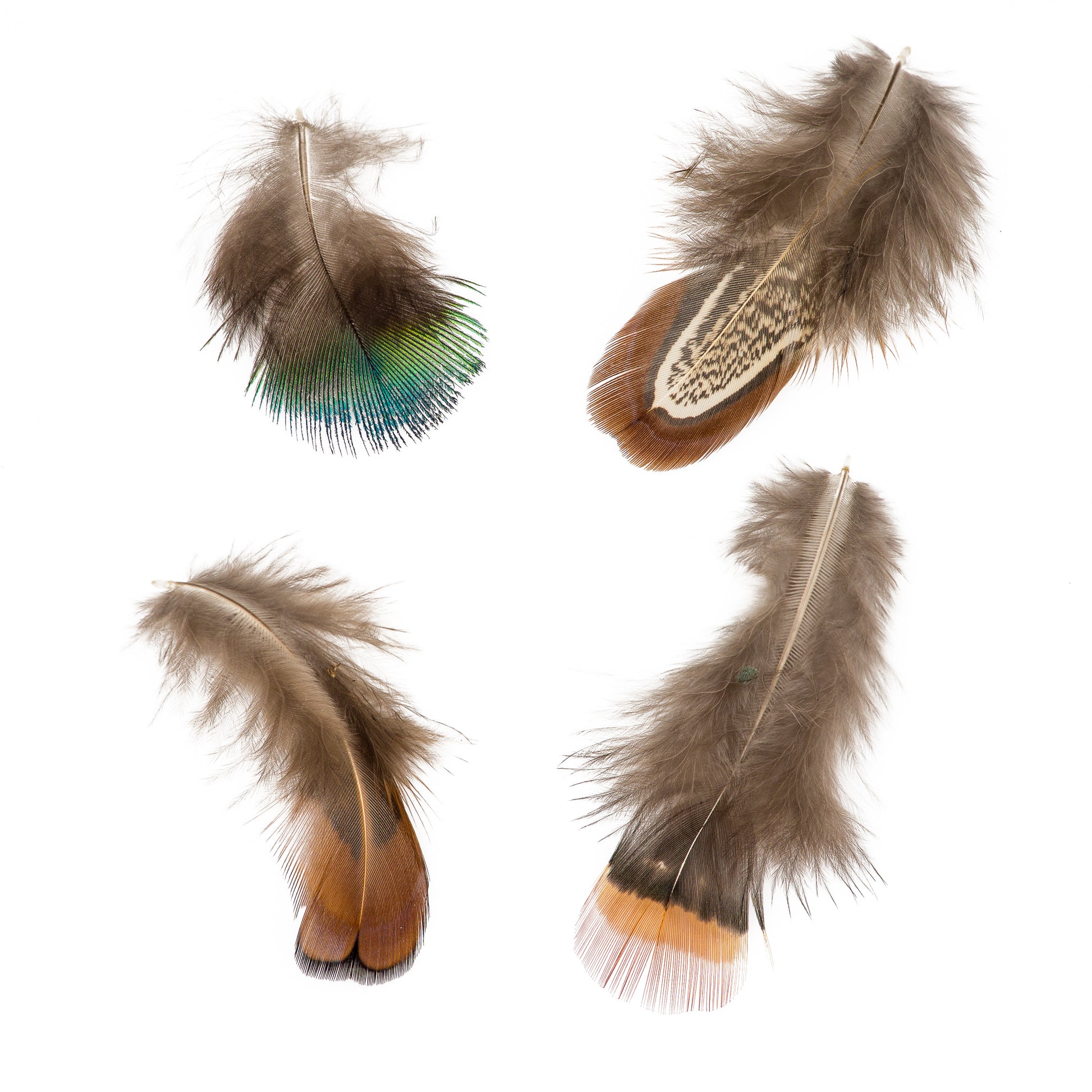 Feather Mix (16 pc.) - Forest