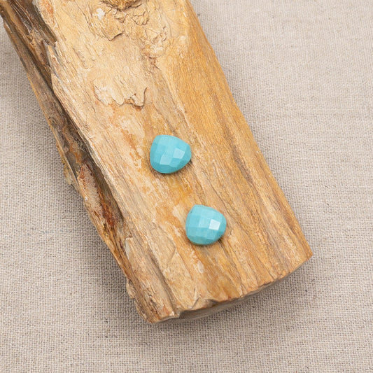 Sleeping Beauty Turquoise Medium Briolette Bead - 2 pcs. (A Matched Pair!)