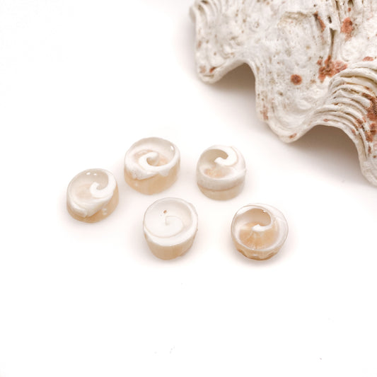 White Spiral Shell Slices (5 pc. package)