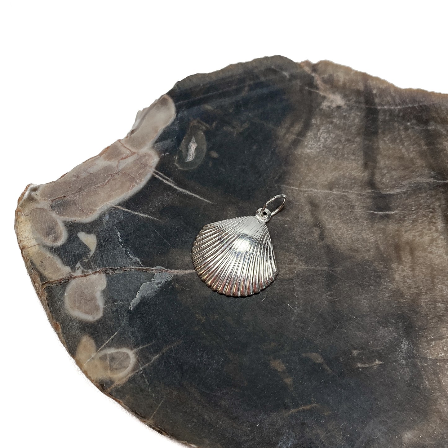 Large Scallop Charm (2 Metal Options Available) - 1 pc.